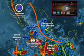 hoy
