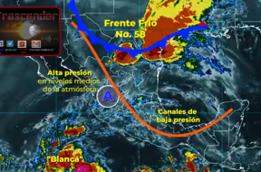 hoy