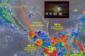 hoy