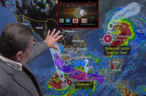 hoy