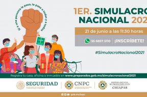 simulacro