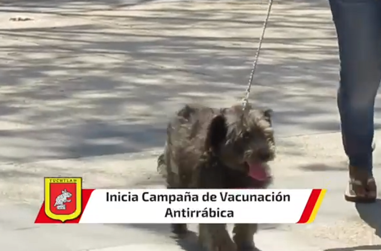 Inicia Ayuntamiento de Tuxtla 2a etapa de vacunación antirrábica este sábado 26 de junio en el parque de la colonia Niño de Atocha
