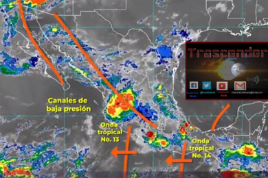 hoy