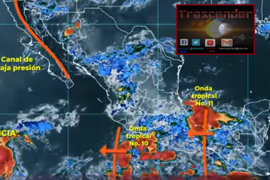 hoy
