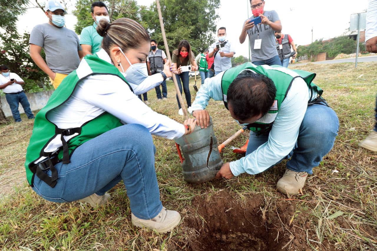Ayuntamiento de Tuxtla realiza acciones de reforestación en el ejido El Jobo