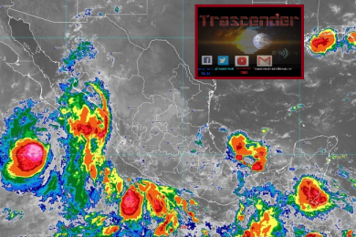 hoy