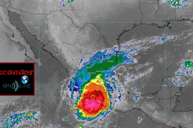 hoy