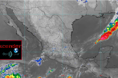 hoy