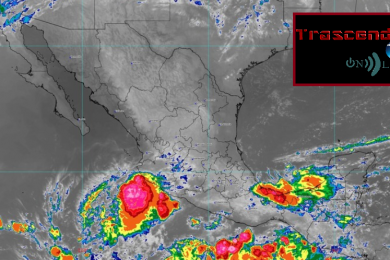 hoy