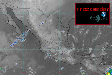 hoy
