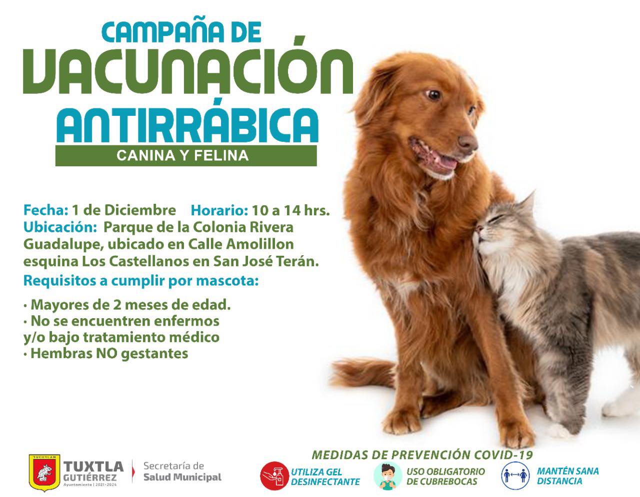 Campaña de vacunación canina y felina, este 1 de diciembre de 10 a 14 hrs en San José Terán