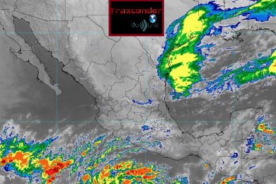 hoy