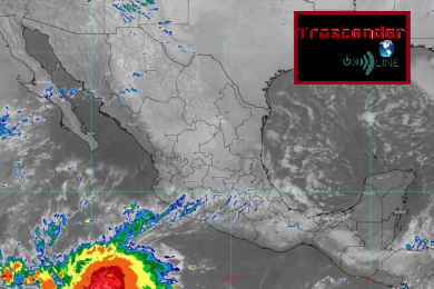 hoy