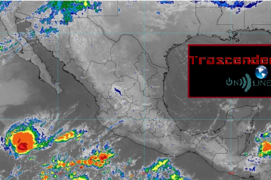 hoy