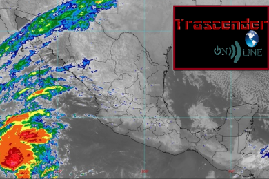 hoy