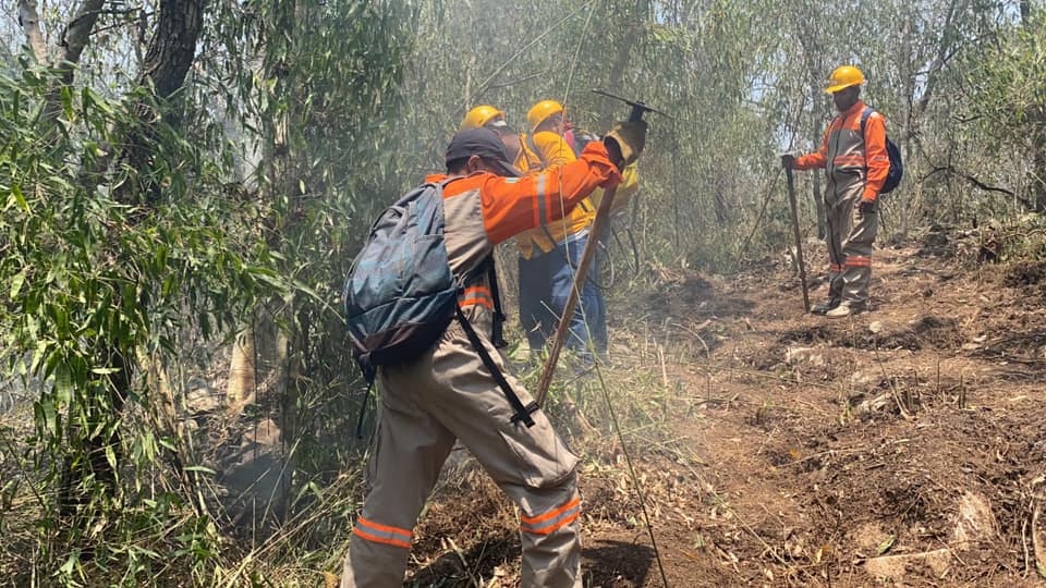 Participa SSPM en prevención y combate de incendios forestales en TGZ