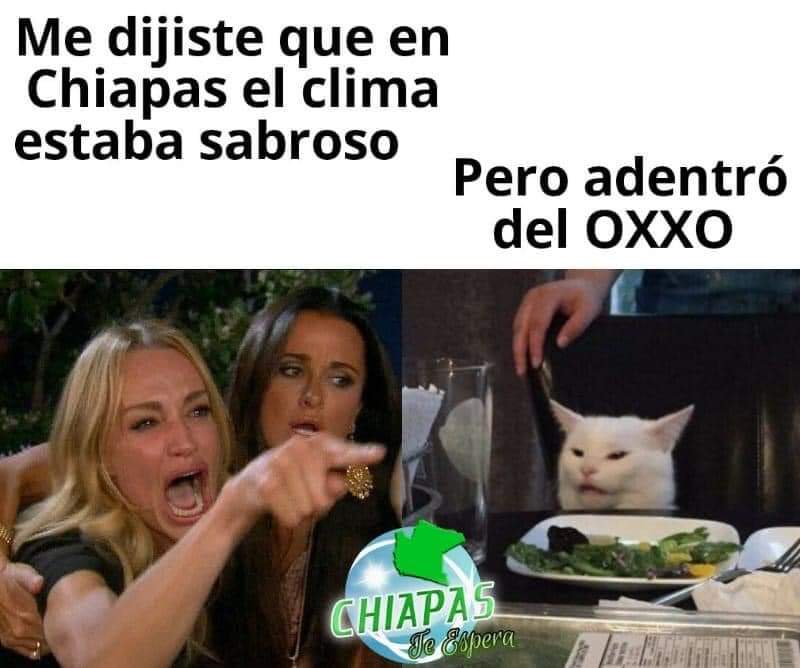 El meme de hoy