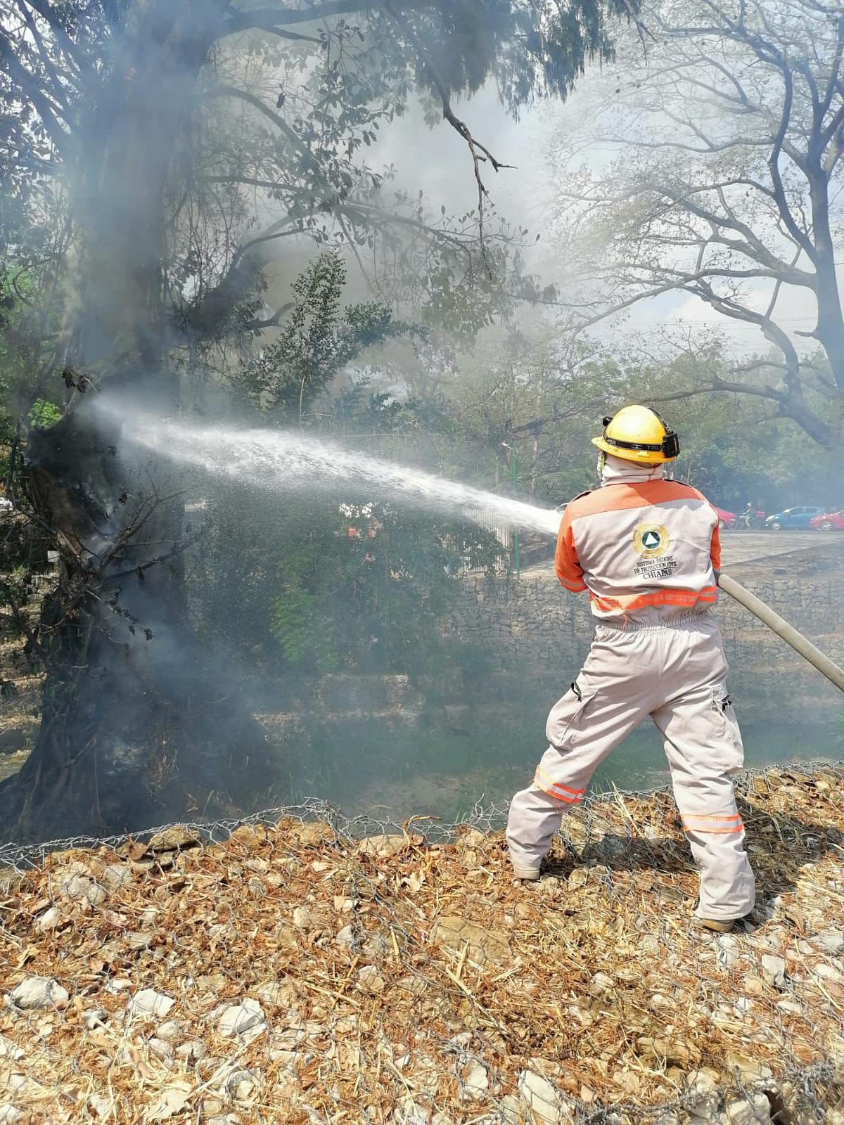 Protección Civil liquida fuego de árbol incendiado intencionalmente en la entrada del parque Tuchtlán