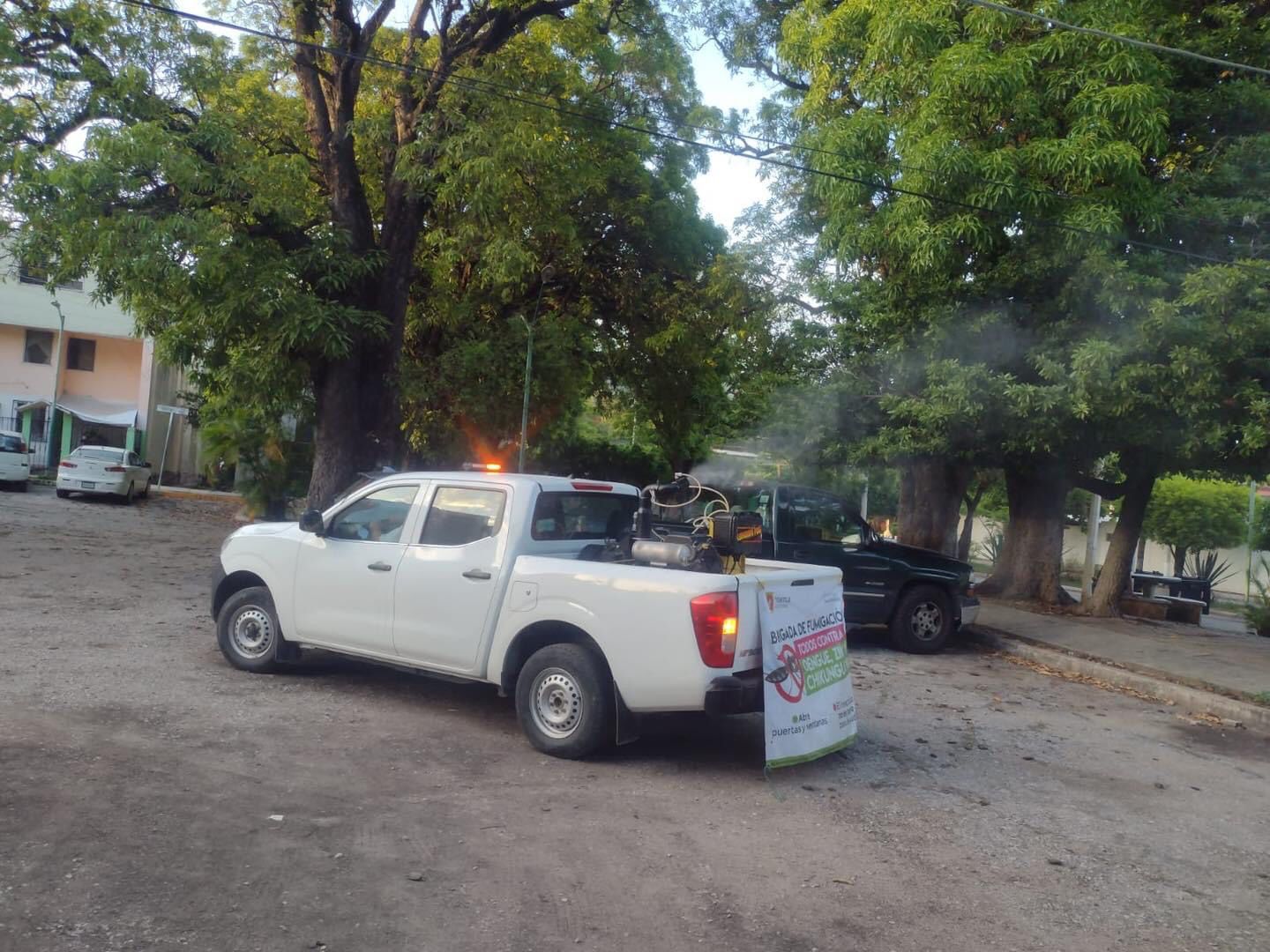 Avanza fumigación anti mosquitos transmisores de enfermedades como Dengue, Zika y Chikungunya en TGZ.