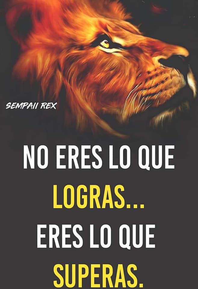 Frases que alimentan