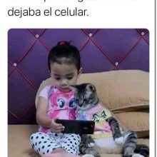 MEME-7