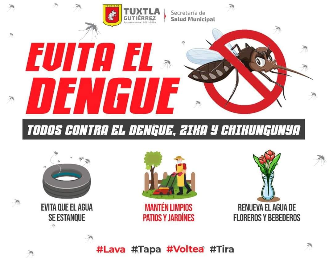 Todos contra el dengue, zika y chinkungunya