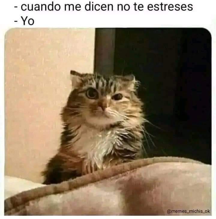 El meme de hoy