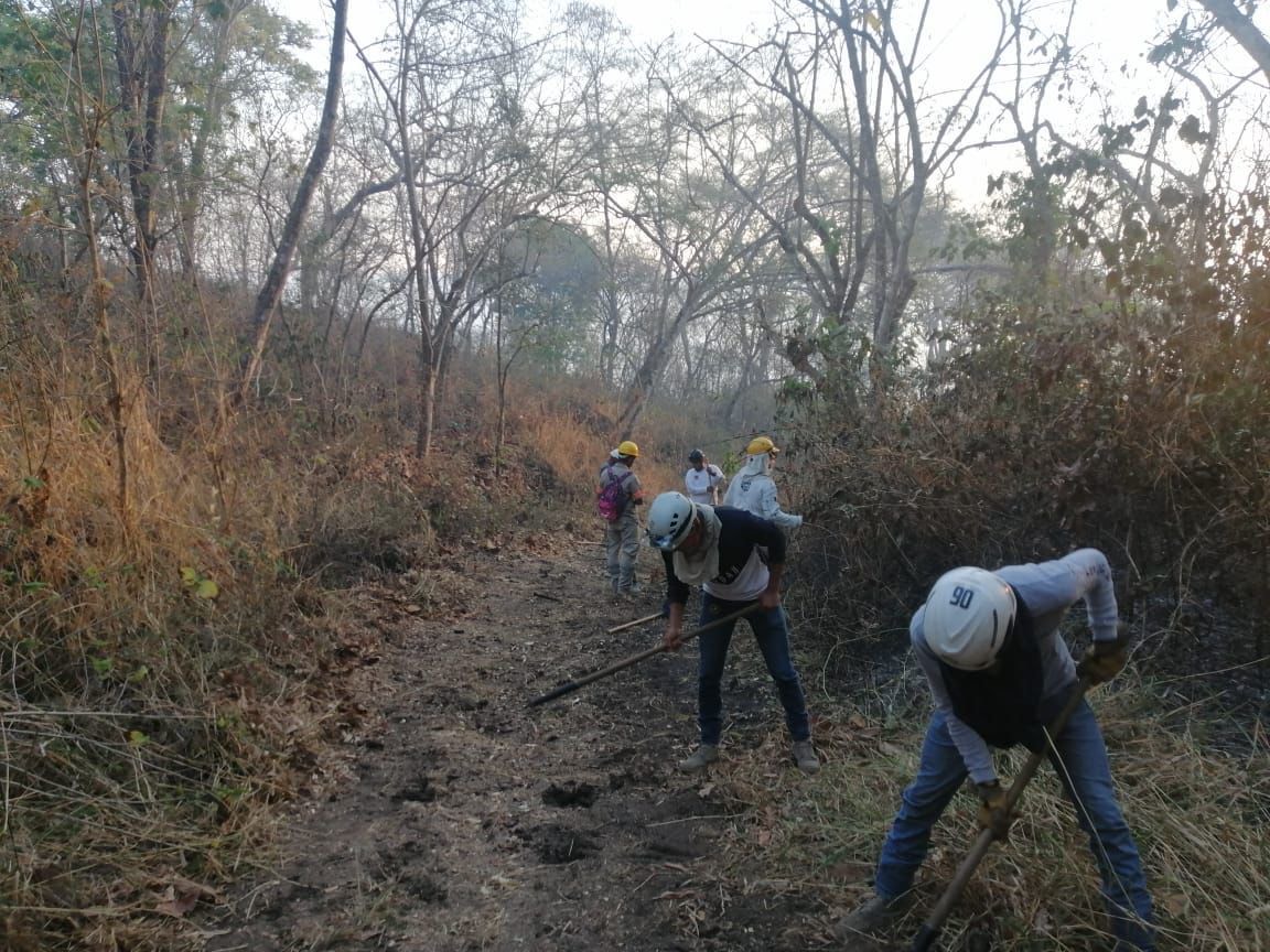 Más de 100 brigadistas combaten el incendio en el Cerro Mactumatza.