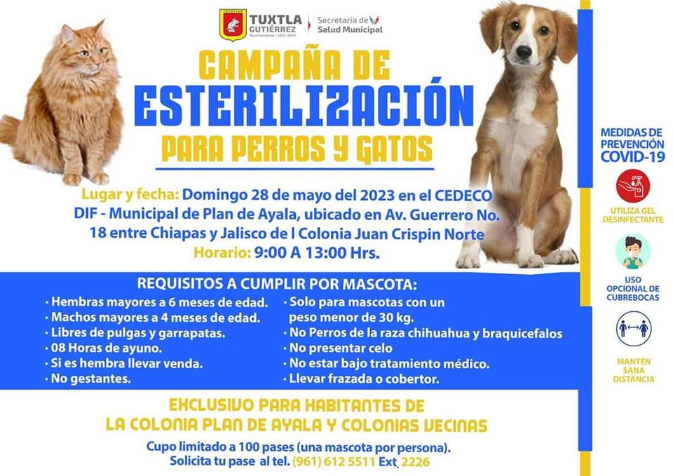 Campaña de esterilización canina y felina en la Col. Plan de Ayala de Tuxtla Gutiérrez, Chiapas.