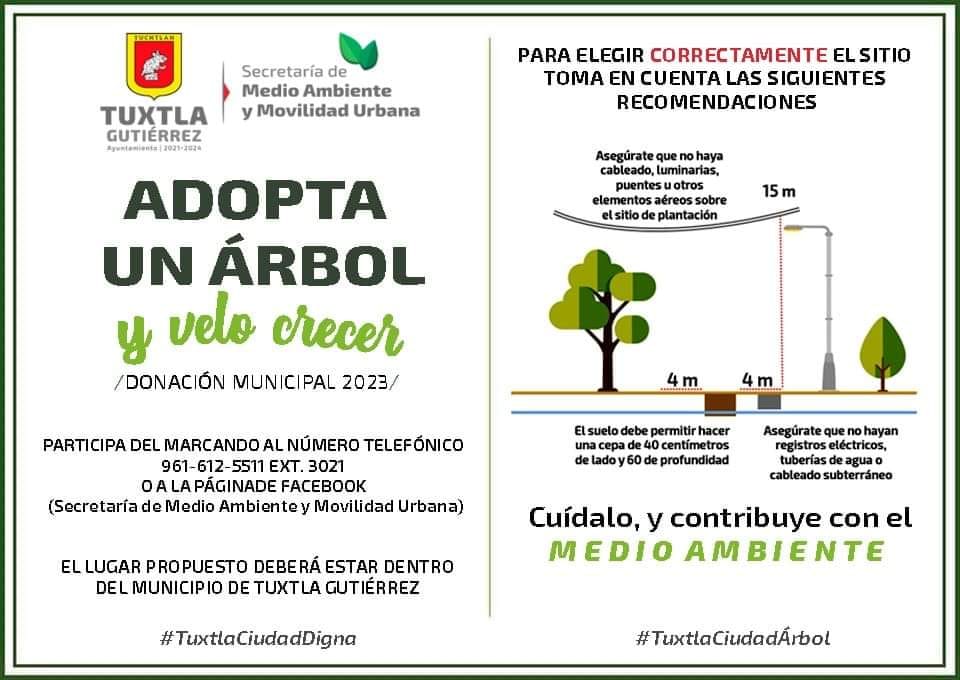 Programa Municipal 2023 «Adopta un Árbol y Velo Crecer» en TGZ.