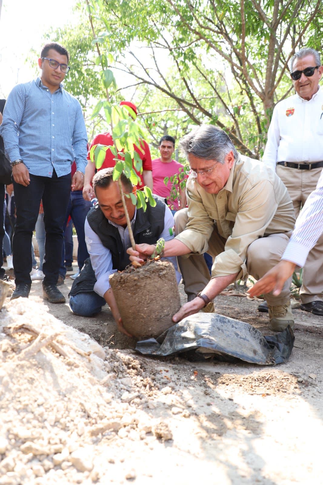 Ayuntamiento de Tuxtla Gutiérrez inicia reforestación en el Parque Nacional Cañón del Sumidero