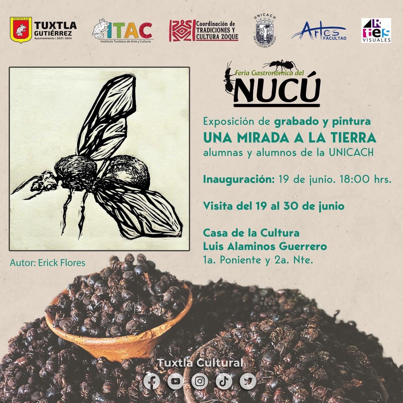 V Feria Gastronómica del Nucú