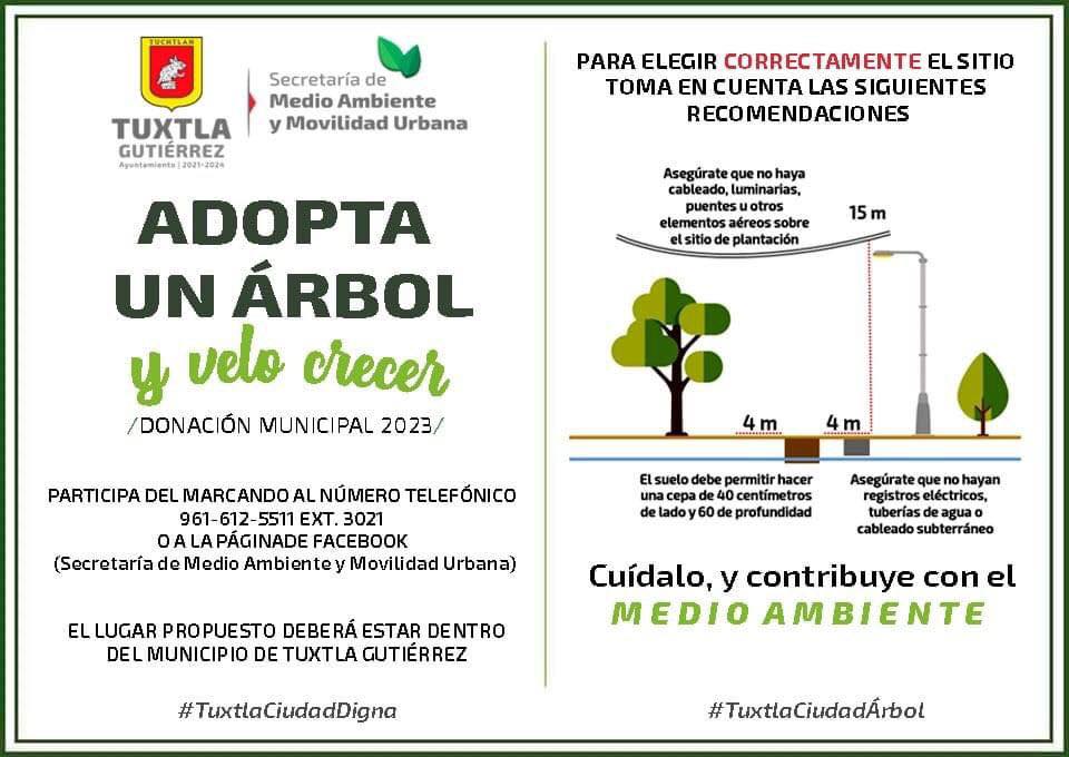 Campañas de donación y de adopción de árboles como parte del Programa Municipal de Reforestación 2023.