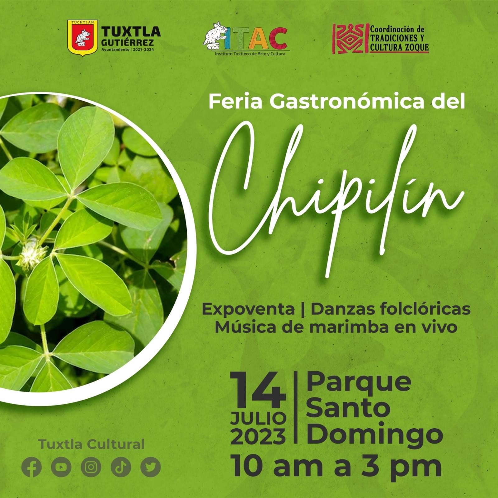 1er. Festival Gastronómico del Chipilín