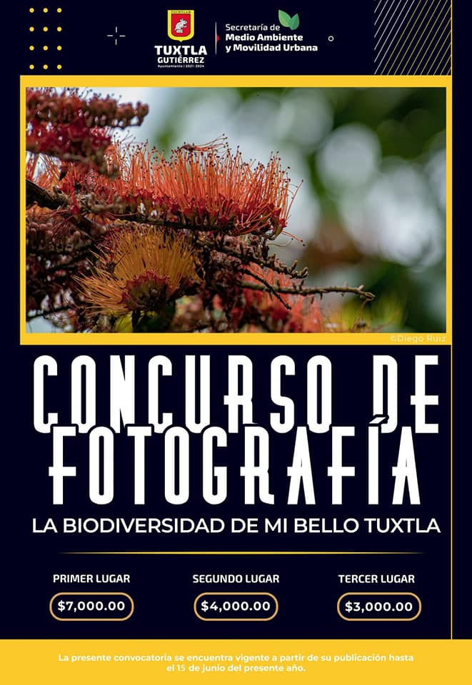 «Concurso de Fotografía » La biodiversidad de mi Bello Tuxtla»