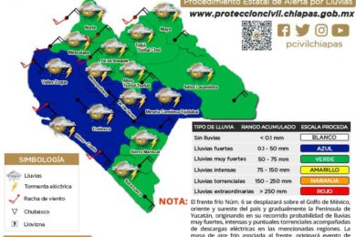 proceda-10