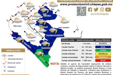 proceda-11