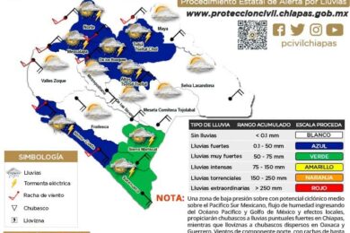 proceda-12