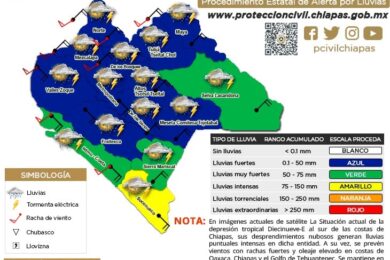 proceda-15