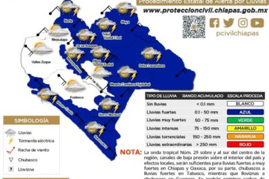 proceda-6