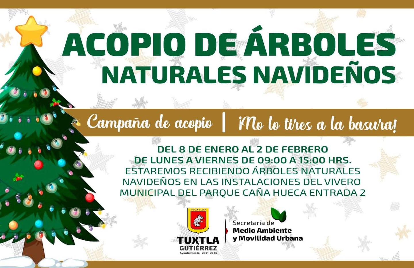 Centro de acopio de árboles de navidad naturales en el vivero de Caña Hueca de TGZ .