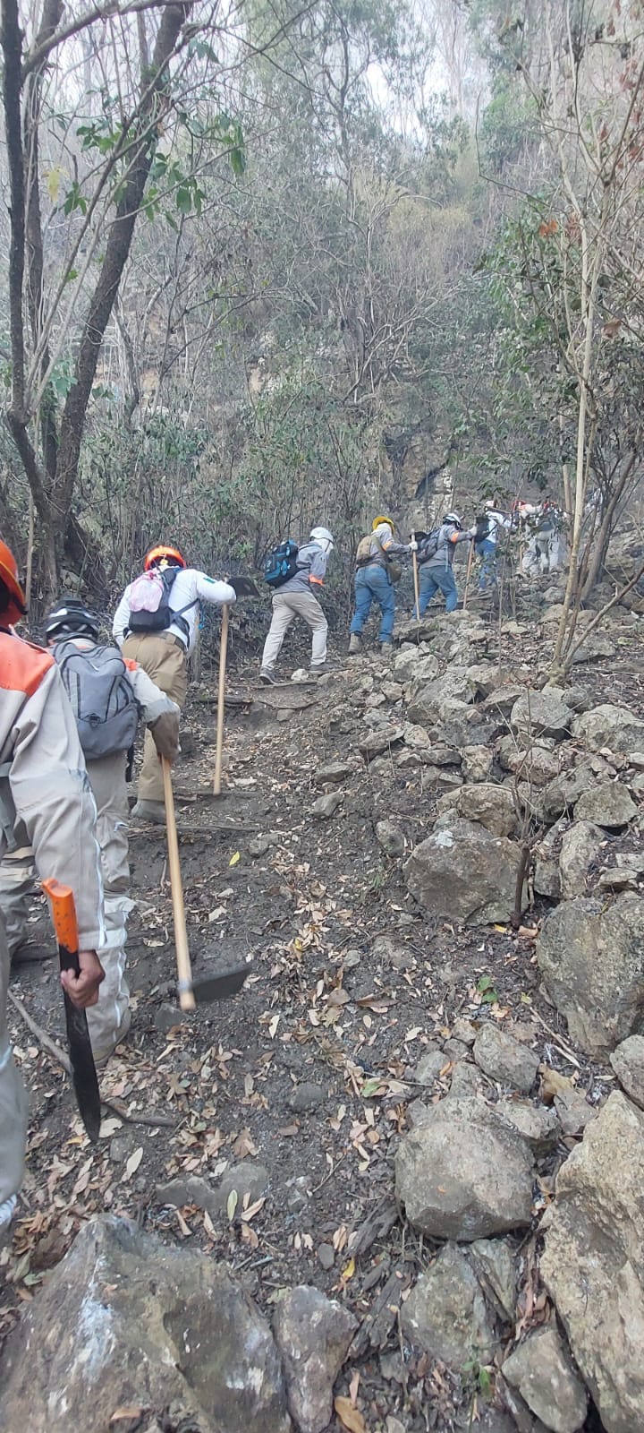 Continúan las labores de combate a incendio forestal en la reserva del Cerro Mactumatzá en TGZ