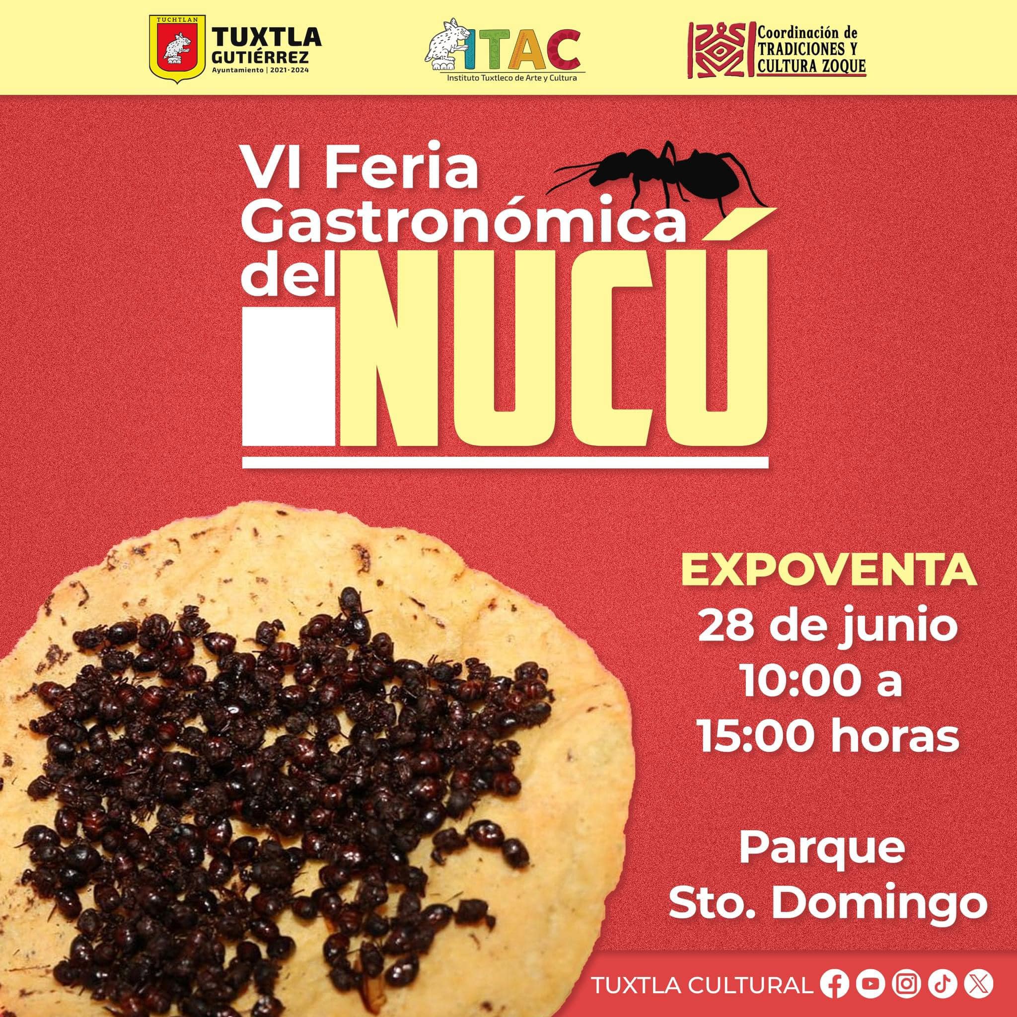 VI Feria Gastronómica del Nucú