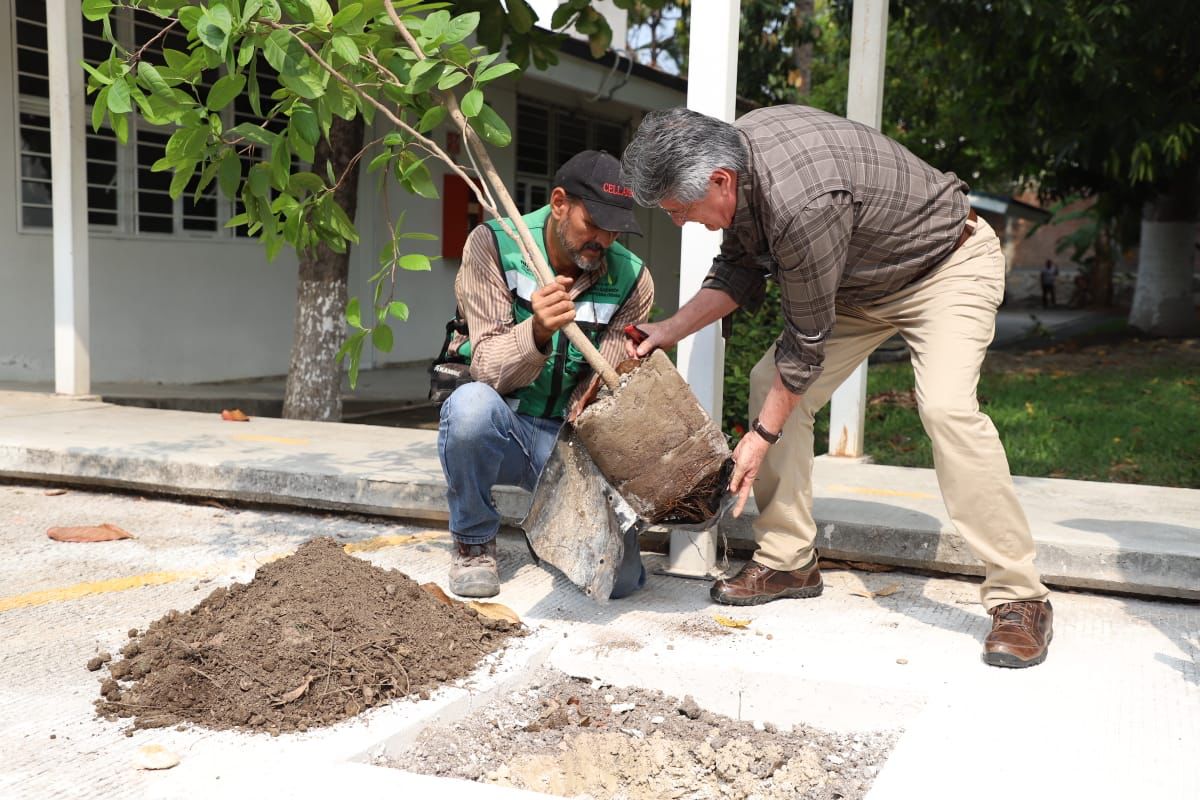 Inicia Campaña de Reforestación en Tuxtla en el Día Mundial del Medio Ambiente.